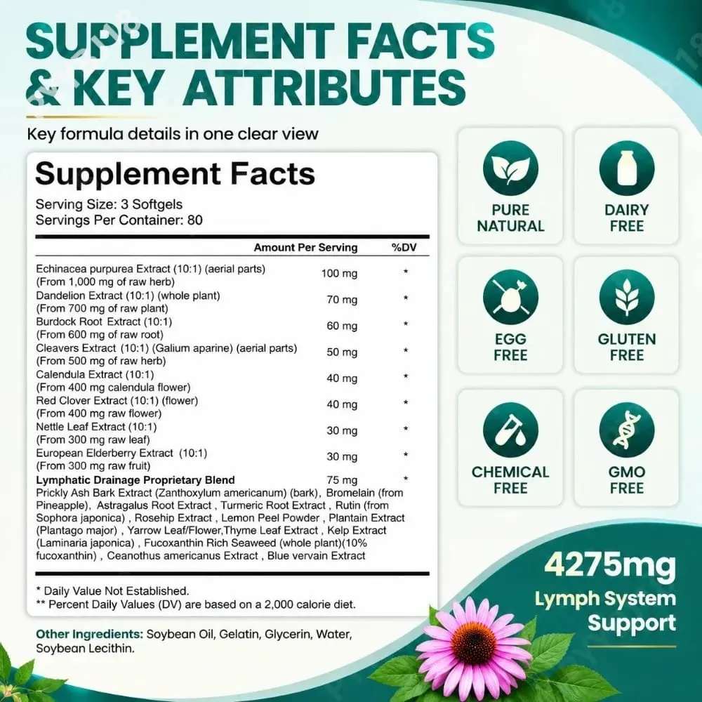 Softgel Pendukung Limfatik dengan Suplemen Herbal Echinacea Dandelion Formula Botani 21-in-1 untuk Sistem Aliran Getah Bening 240 Hitung — image 3