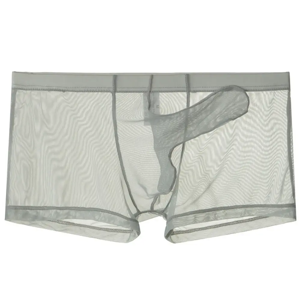Sexy Men Mesh Transparent Lightweight Underwear See Through Breathable Boxer Briefs Panties Bullet Separation Male Boxer Panties