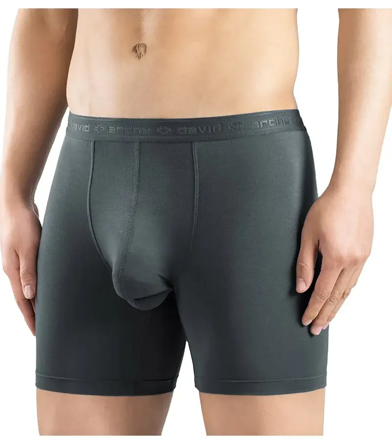 David Archy Lot de 3 boxers pour homme sous-vêtements basiques en micromodal doux et respirants à double poche à séchage rapide pour sport et fitness — image 7