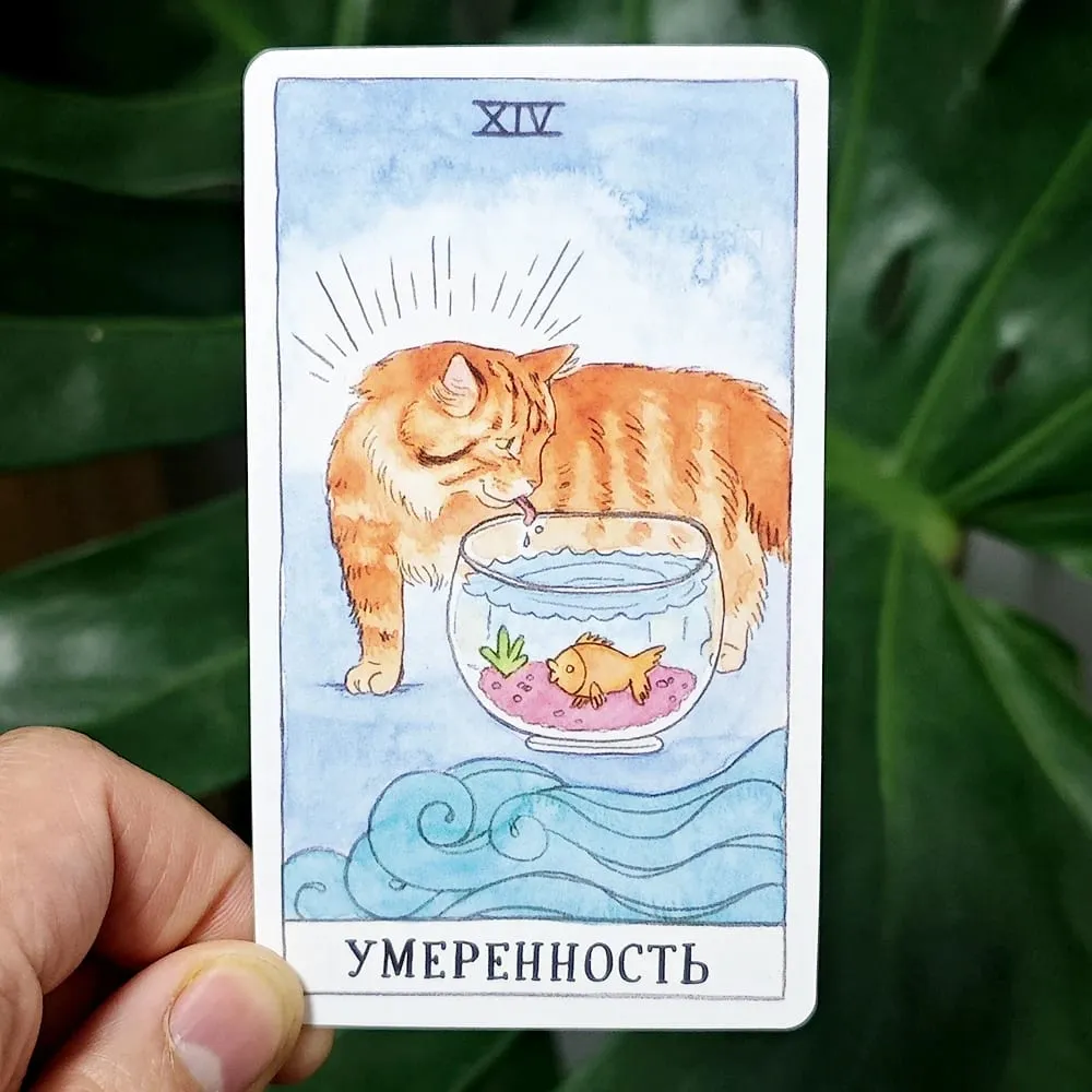 Кошачье Таро на русском языке 10,3*6 см сочетает подлинность с кошачьим чувством юмора 78 шт. Карты Таро на кошачью тематику — image 2