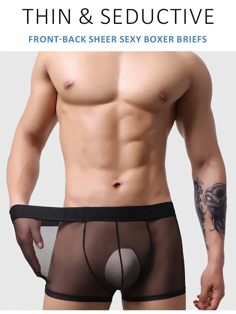 Men's Transparent Full Mesh Boxer Briefs See-Through Underwear Low Rise U-Pouch Breathable Sexy Low-Rise Elastic Waistband — image 1