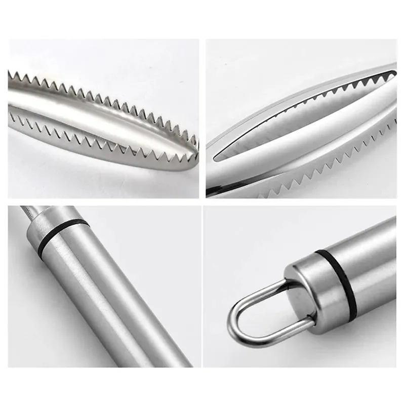 Dissolvant efficace d'écailles de poisson, outil de nettoyage de poisson en acier inoxydable, brosse de peau de poisson, éplucheur d'échelle, outils de cuisine — image 4