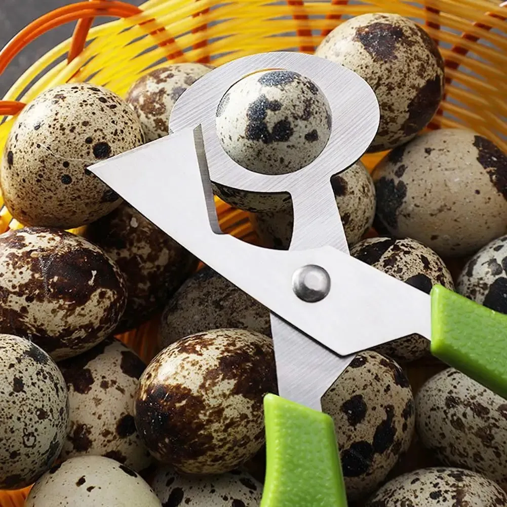 1-20 Buah Gunting Telur Puyuh Baja Tahan Karat Pembuka Pemotong Cangkang Telur-Pisau Baja Berkualitas Tinggi Alat Pengiris Telur Tahan Lama Baru — image 4