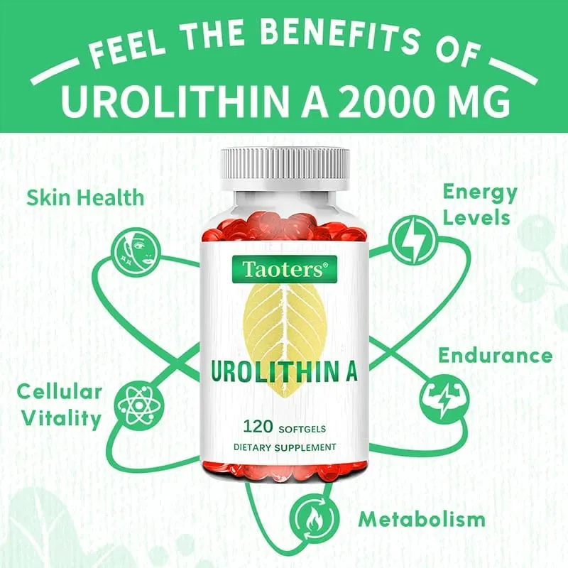 Supplément antioxydant avec urolithine A - Capsules naturelles de grenade pour la santé cardiaque et le soutien des articulations pour hommes et femmes — image 5