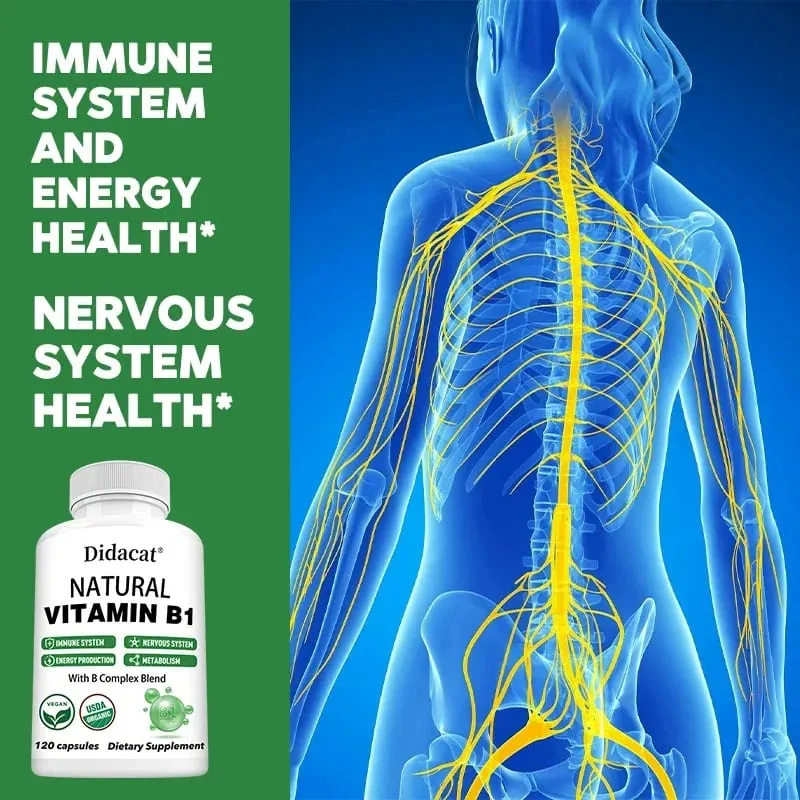 Didacat Vitamin B1 hilft dem Immunsystem, dem Nervensystem und der Energieunterstützung, Nahrungsergänzungsmittel — image 3