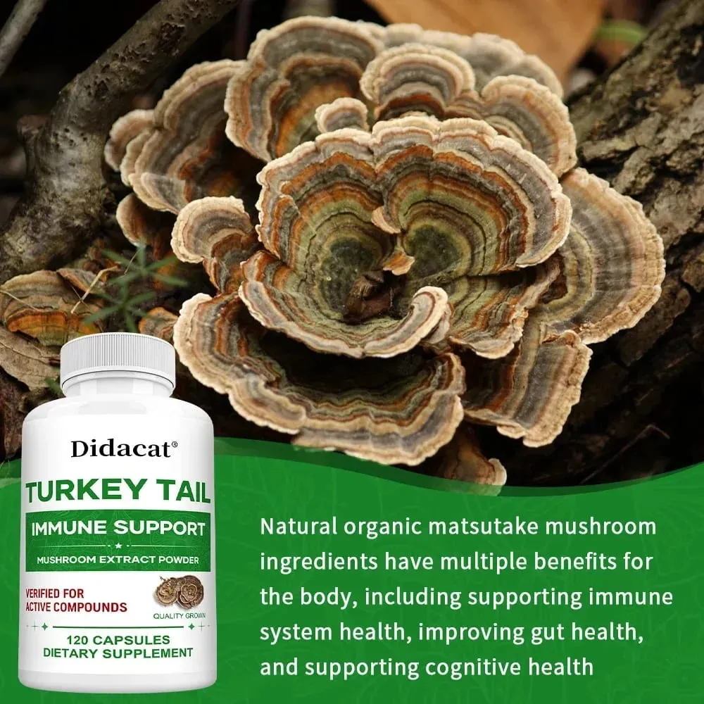 L'integratore di funghi coda di tacchino rafforza il sistema immunitario promuove la salute e la vitalità Vegano non OGM 120 capsule — image 4