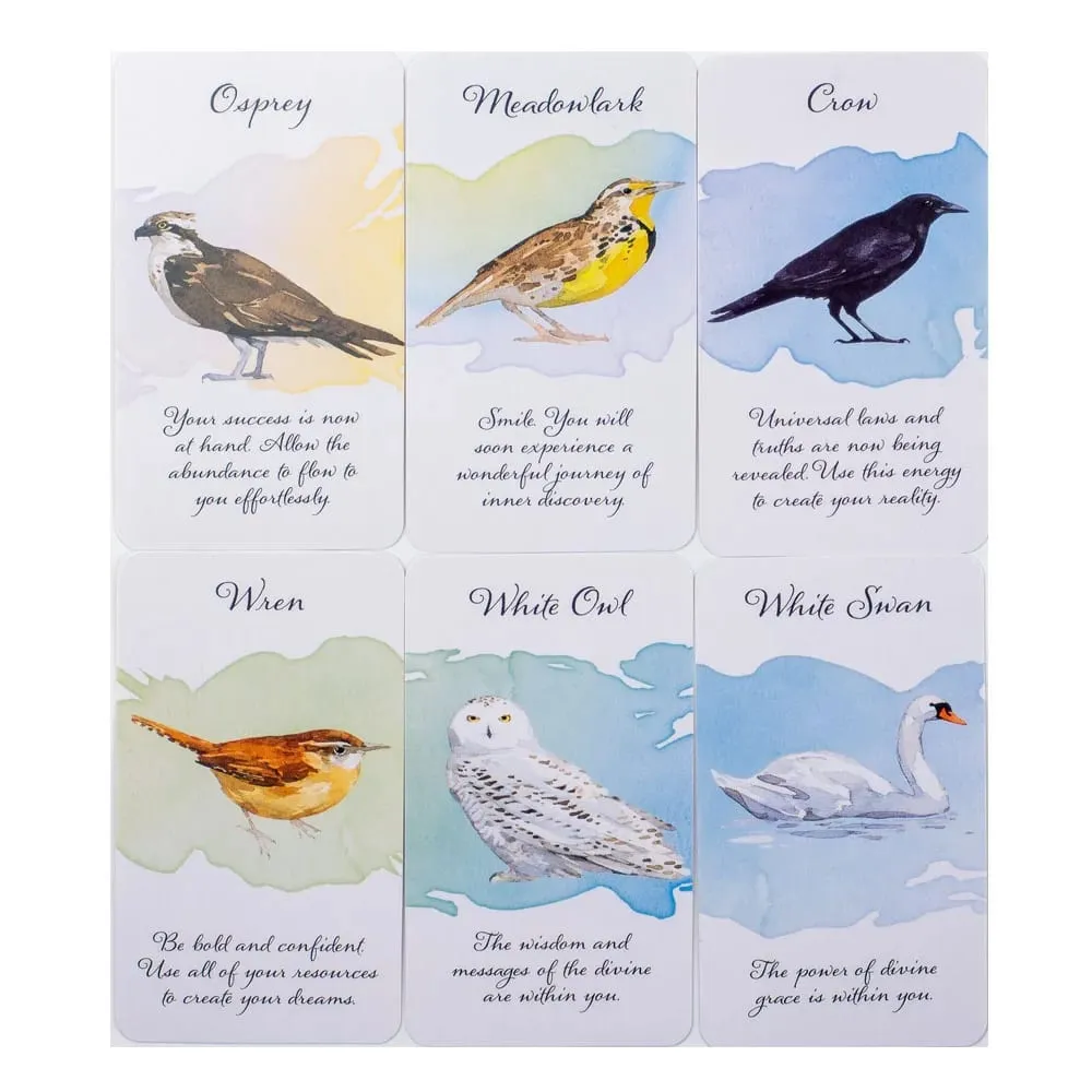 Tarot messager à plumes divines, cartes Oracle 44 oiseaux, symbolisme et énergies, 10.3x6CM, Divination, lecture du destin et jeu de société — image 5
