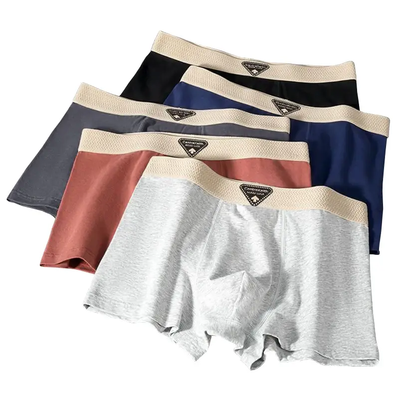 5pcs Pack Men Panties Cotton Underwear High Stretch Boxer Shorts Fashionable Sexy Men Underpant Plus Size L-4XL Breathable Men