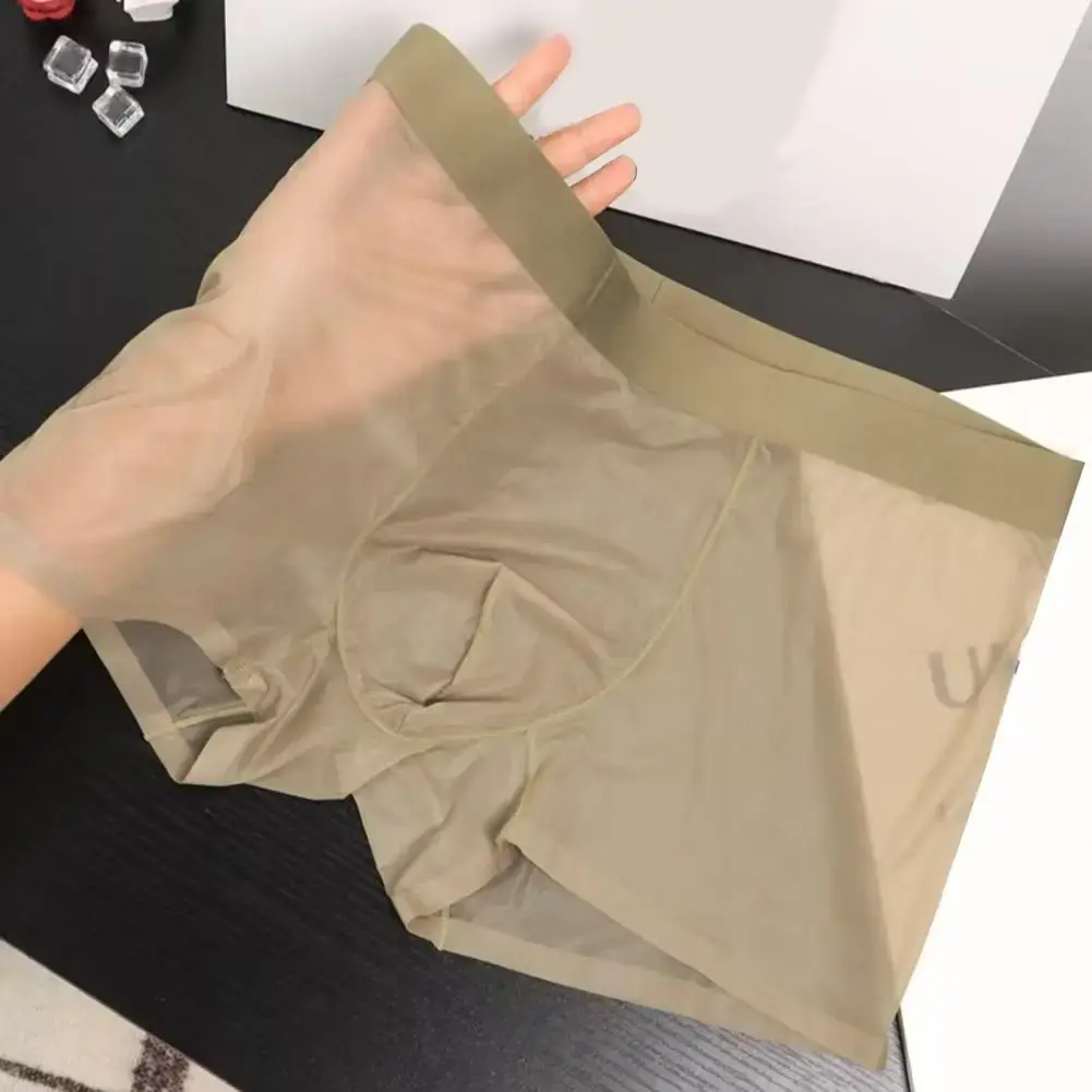 Men Boxer Transparent Lightweight Men Underwear Elastic Mid-Waist U-Convex Thin Perspective Shorts Briefs Seamless Panties — image 3