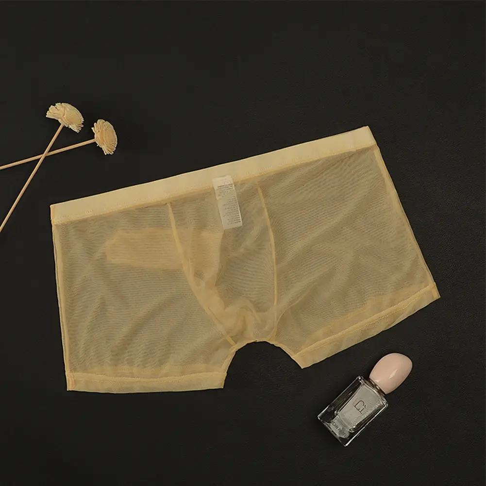 Sexy Men Mesh Transparent Lightweight Underwear See Through Breathable Boxer Briefs Panties Bullet Separation Male Boxer Panties