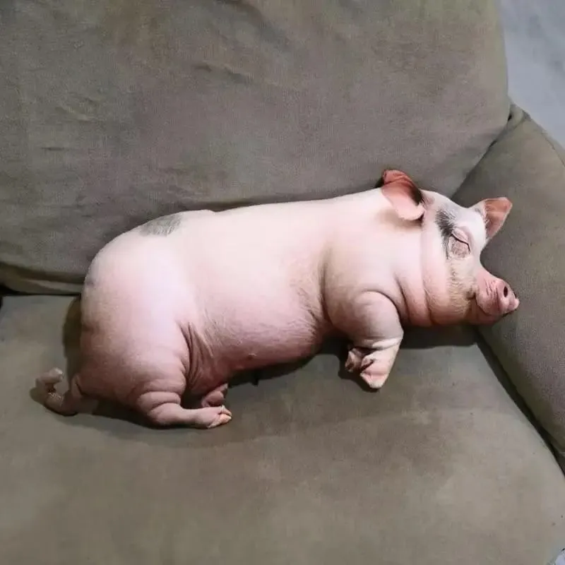 Hot Sale Realistic Sleeping Pig Plush Toy Stuffed Doll Soft Fluffy Animal Pillow Decor Gift For Home Bedroom