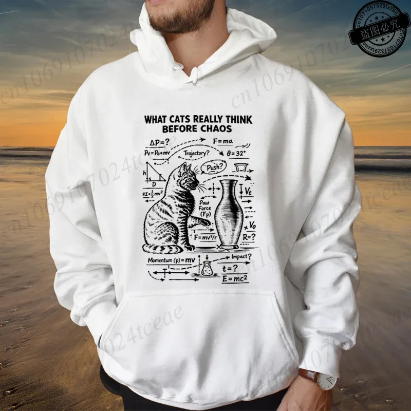 Funny Cat Physics Design Hoodies Math Science Humor Cat Print Sweatshirt Personalized Men Women Casual Streetwear Fashion Hoodie — image 19
