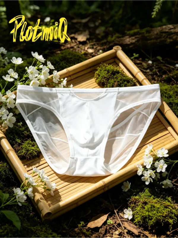 1PCS Lelaki Seluar Dalam Bikini Sheer Disambung Rekaan Panel Jala Hitam Bahan Anjal Lembut Seluar Dalam Lelaki Kontur 3D