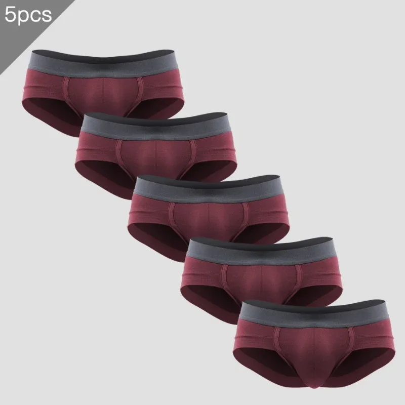 5PCSSlip da tre pezzi da uomo con custodia a forma di U, tessuto modal, traspirante, pantaloni a vita bassa estivi per giovani