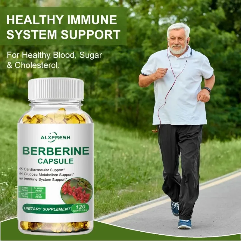 Ekstrak Berberine 1500Mg untuk Menggalakkan kolesterol yang sihat dan Membantu fungsi kardiovaskular Fungsi Gastrointestinal Antioksidan — image 3