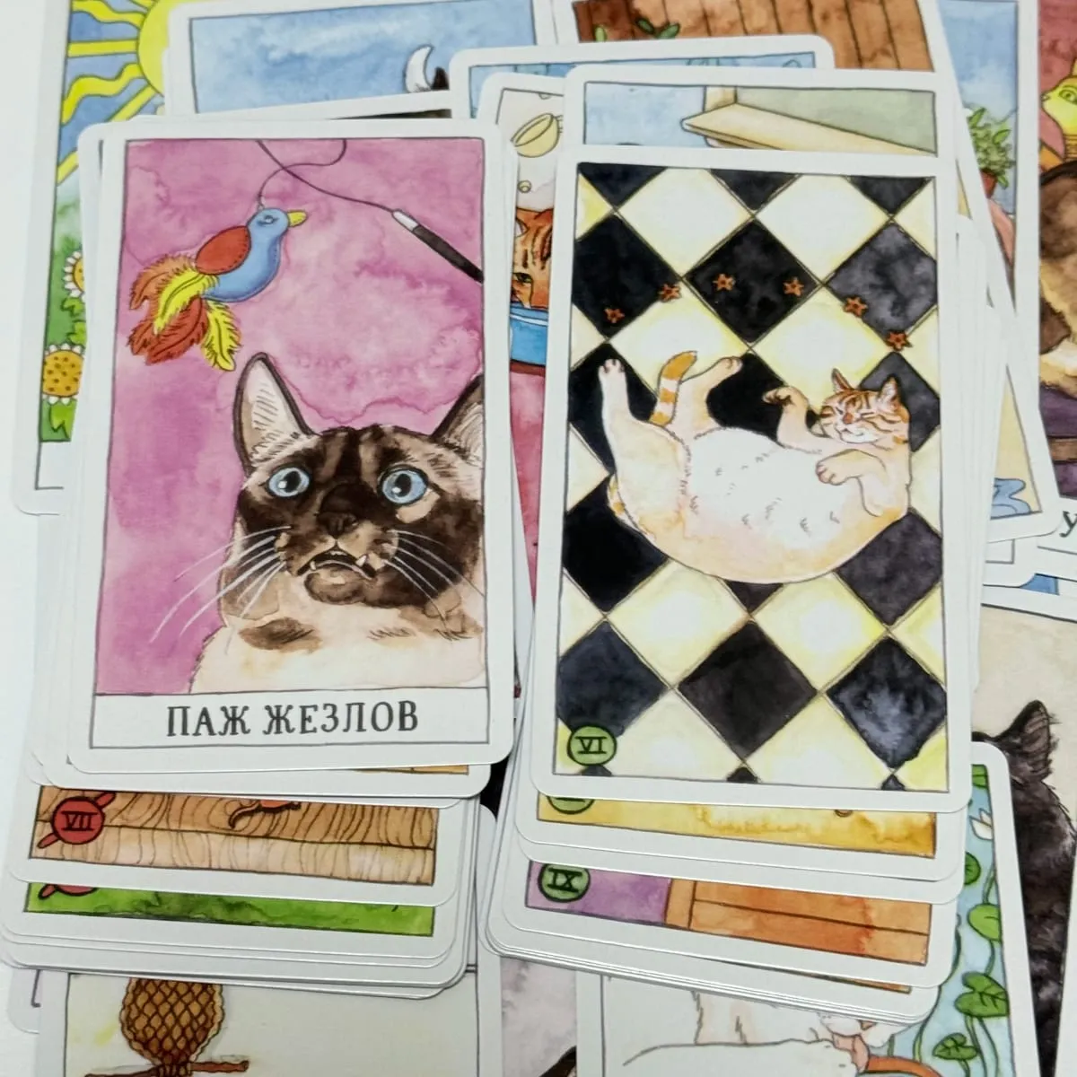 78Pcs Cat Tarot Dek Siri Kucing Comel Versi Rusia Permainan Papan Tilikan Kad Tarot — image 5