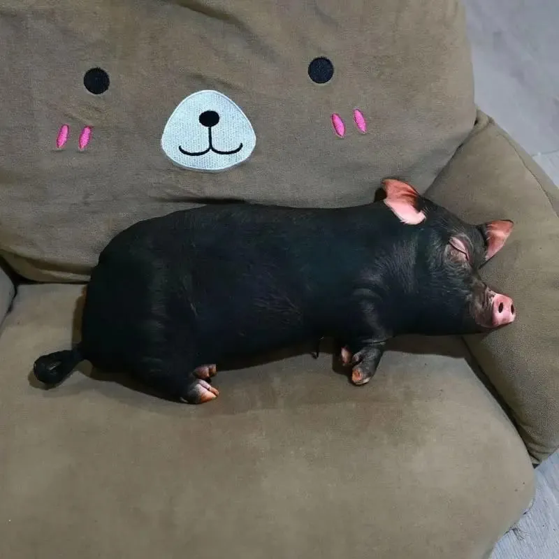 Almofada de pelúcia 3D em forma de porco Almofada decorativa de tecido super macio e confortável para sofá-cama da sala de estar — image 13