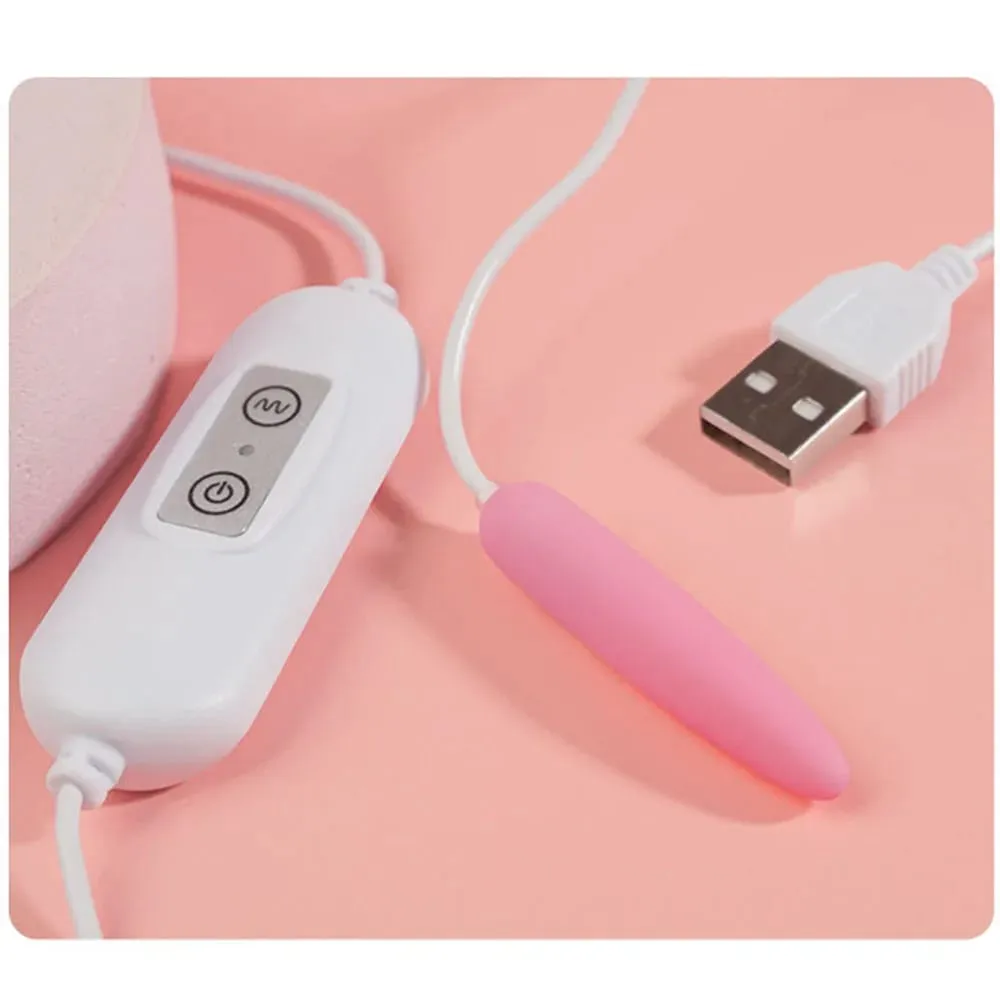 100 cm Urethrale Vibrator 20 model Clitoris G-Spot Sprong Ei usb power Vibrator Seksspeeltje Bullet afstandsbediening vibrerende ei