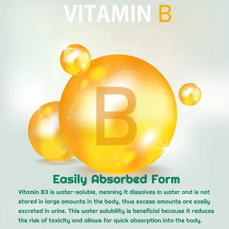 Capsules de niacinamide vitamine B3 – Soutient la fonction cérébrale et la santé cardiaque, stimule la production d'énergie et améliore l'immunité. — image 6