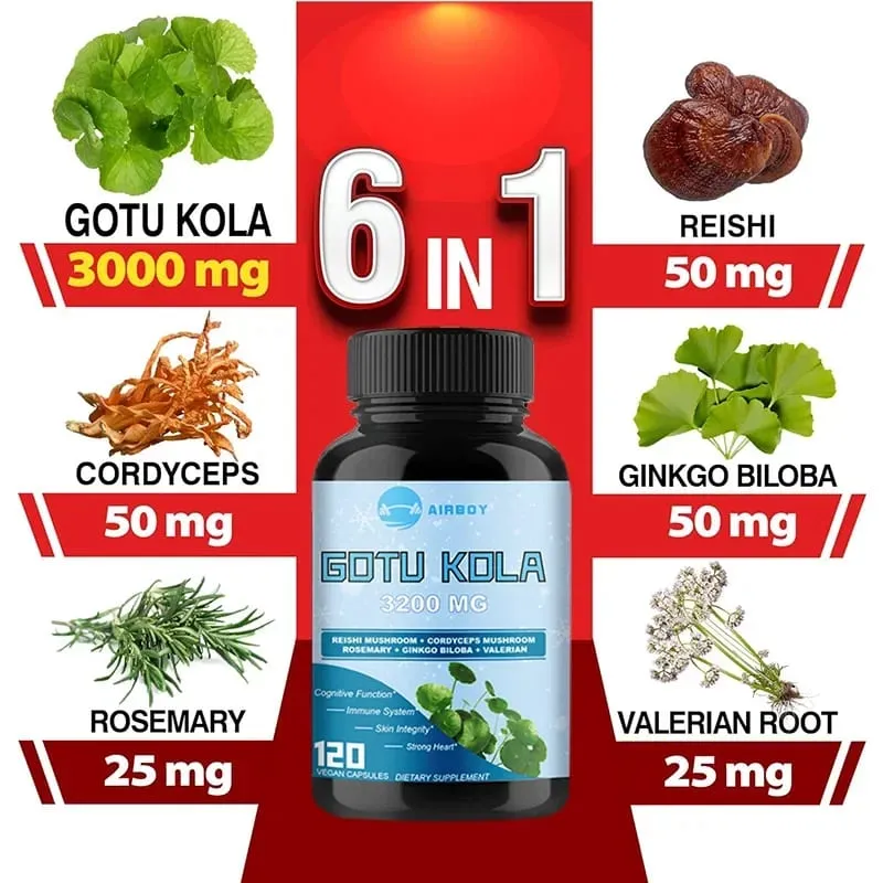 Gotu Kola Capsules - ระบบภูมิคุ้มกันความรู้ความเข้าใจสมอง อาหารเสริมพลังงานผิวและการไหลเวียน - อาหารเสริมที่ไม่ใช่จีเอ็มโอและปราศจากกลูเตน — image 2