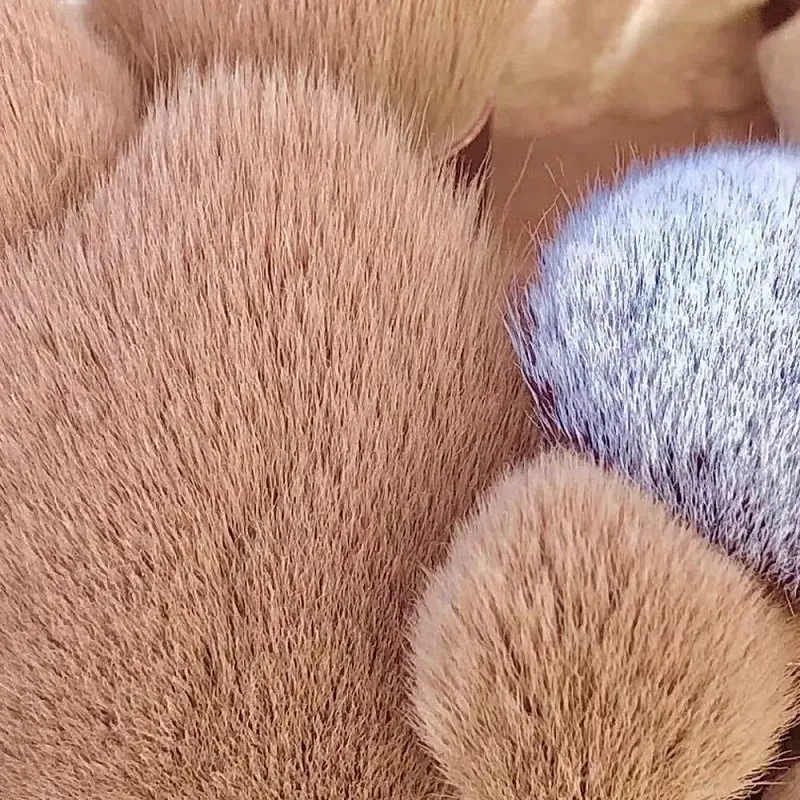 13/15 PIÈCES Ensemble De Pinceaux De Maquillage Ombre À Paupières Fondation Femmes Brosse Cosmétique Fard À Paupières Blush Beauté Doux Maquillage Outils Sac
