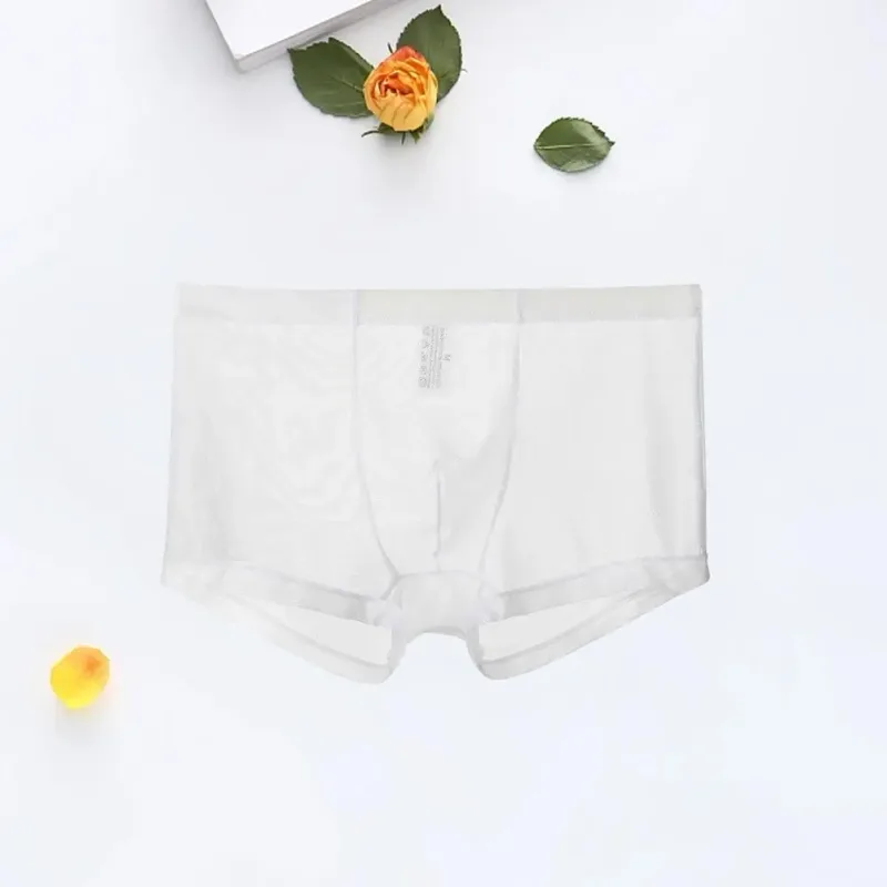 Transparent Boxers for Men See Through Male Underpants Sexy Mesh Low Waist Ice Silk Thin Cooling Men Panties Men Underwear — image 15