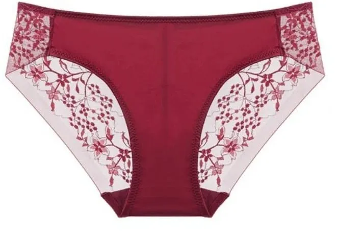 Women Lace Lingerie Set Thin Cup Minimizer Bra Panty Kit Full Coverage Breathable Intimates for Big BustFashion Daily Underwear — image 13