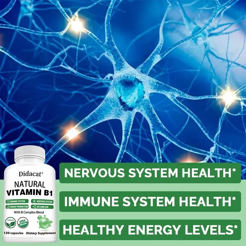 Didacat Vitamin B1 hilft dem Immunsystem, dem Nervensystem und der Energieunterstützung, Nahrungsergänzungsmittel — image 2