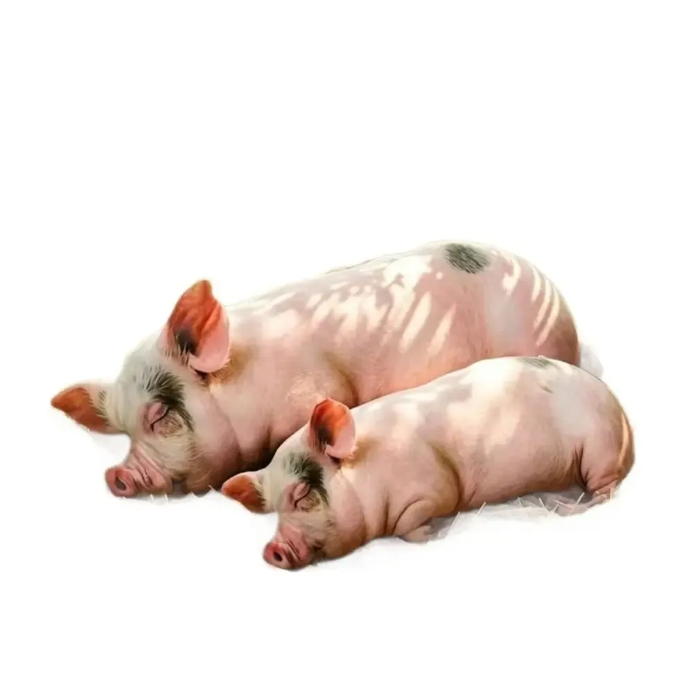 Materiale peluche Cuscino per il corpo animale Dimensioni 40 cm Texture morbida Cuscino per animali Giocattoli per bambole Imbottito in cotone PP Design carino — image 8