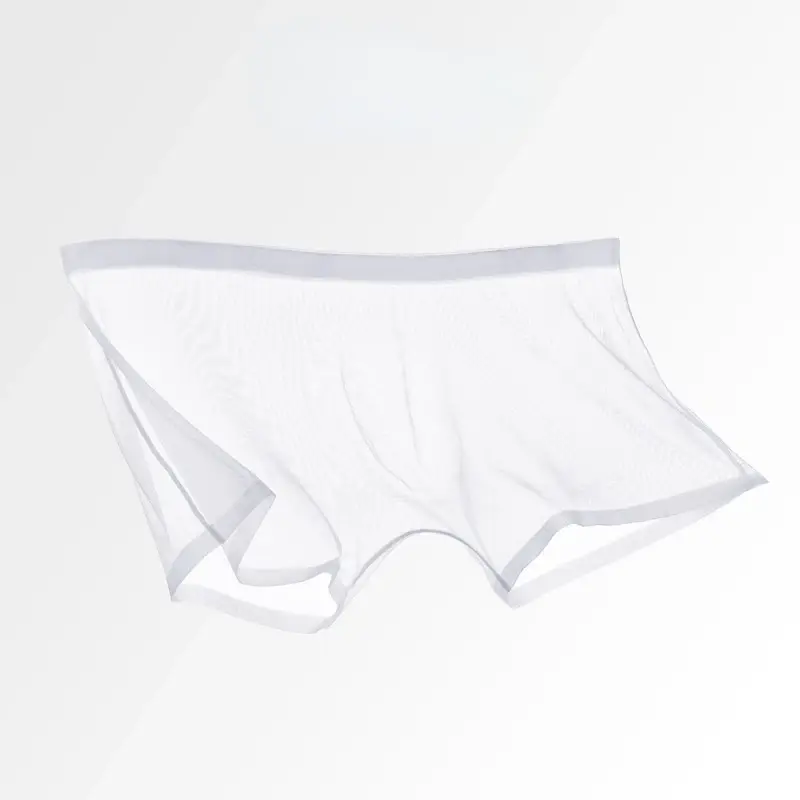 Herrenunterwäsche, transparente Boxer, Ausbuchtung, Eisseide, durchsichtige Unterhose, sexy Slips, niedrige Taille, Höschen, Dessous, Dessous — image 7
