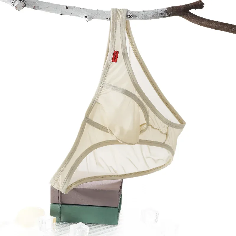 Herrbyxor Ultratunna Mesh Transparenta underkläder Andas Snabbtorkande Lågväxt sexiga U-formade påstrosor Tanga Slip — image 6