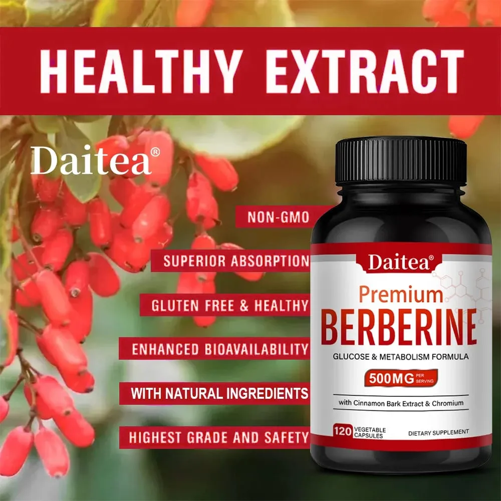 Berberine HCL 500mg Capsules with Cinnamon Antioxidant Support Heart Metabolic Cardiovascular Digestive & Immune Health — image 3