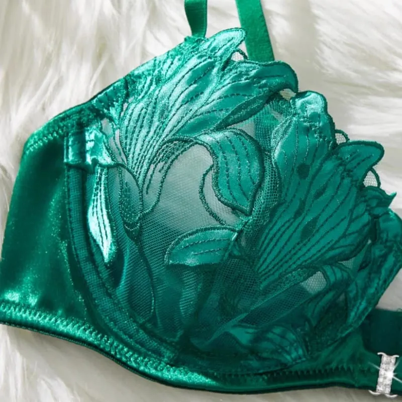 Sexy Lingerie Woman Lace Transparent Underwear Embroidery Brief Set female Bra Kit Push Up Breves Sets Thin Bras New Bragas — image 5