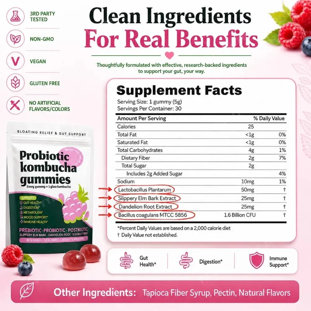 Probiotic Kombucha Gummies Every Gummy 1 Glass Kombucha Prebiotic Postbiotic Digestive Gut Health Vegan Berry Bliss 30 Gummies — image 5