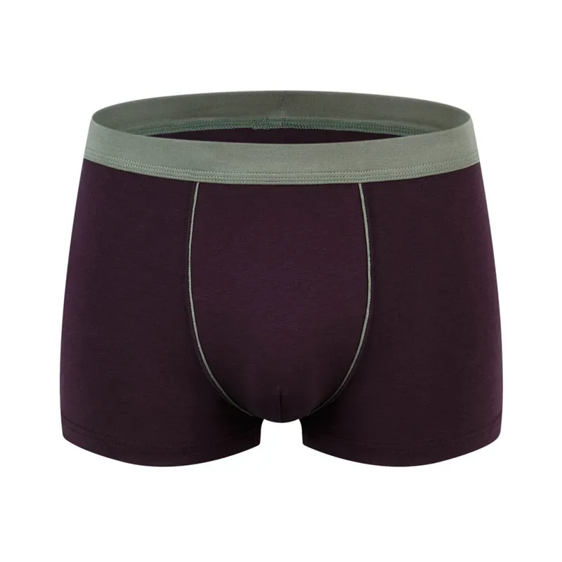 Stor storlek Sömlösa underkläder Herr Boxershorts i massiv bomull Herrtrosor Andas Boxers Herrpaket Kalsonger Man — image 19