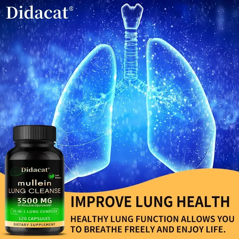 Integratore di estratto di foglie di verbasco Vitamina C Minerale Pulizia polmonare Supporto del sistema immunitario 120 capsule Integratore sanitario — image 5