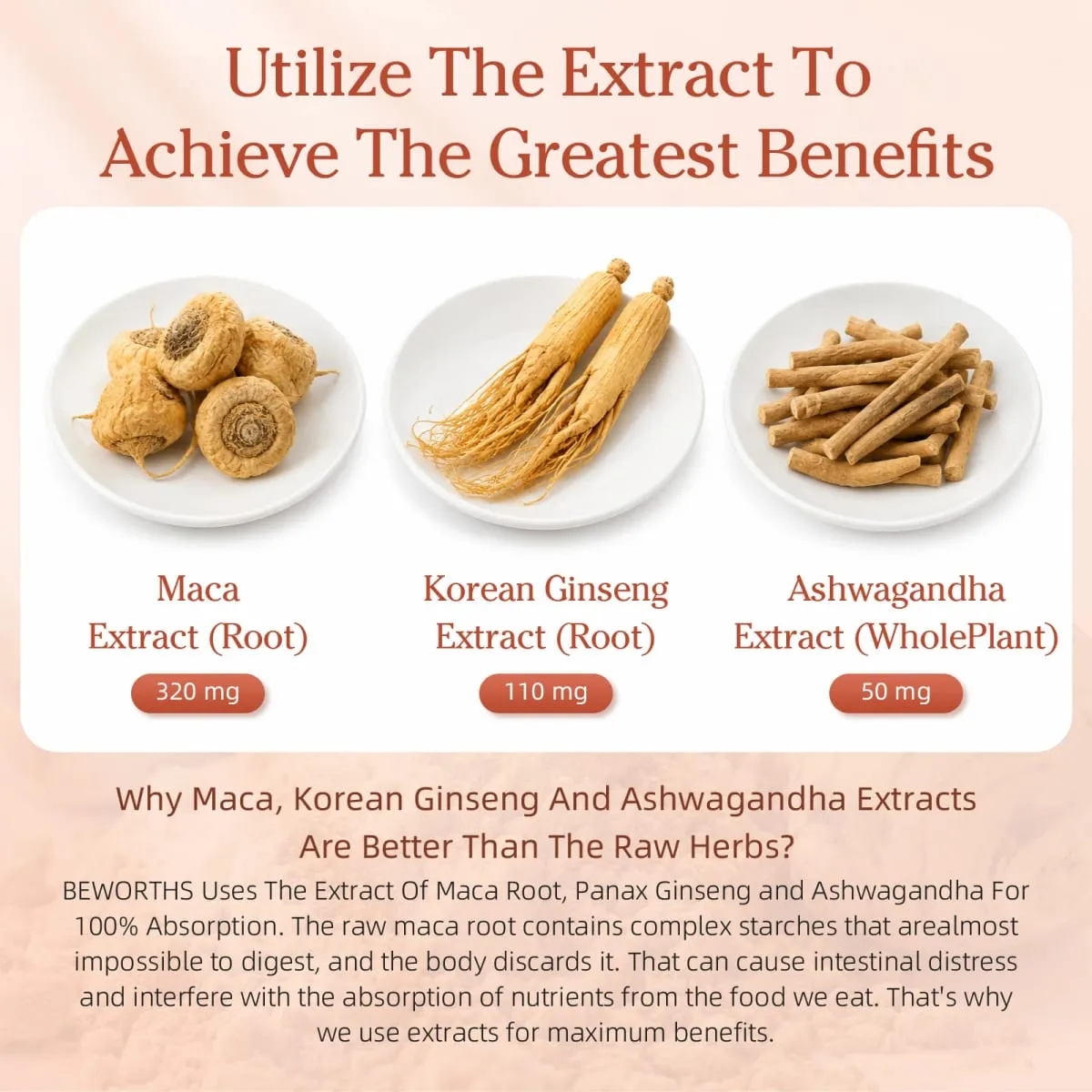 Nature Original Ginseng&Ashwagandha Plant Root Extract Edible Energy Vegetarian Capsules for Men and Women