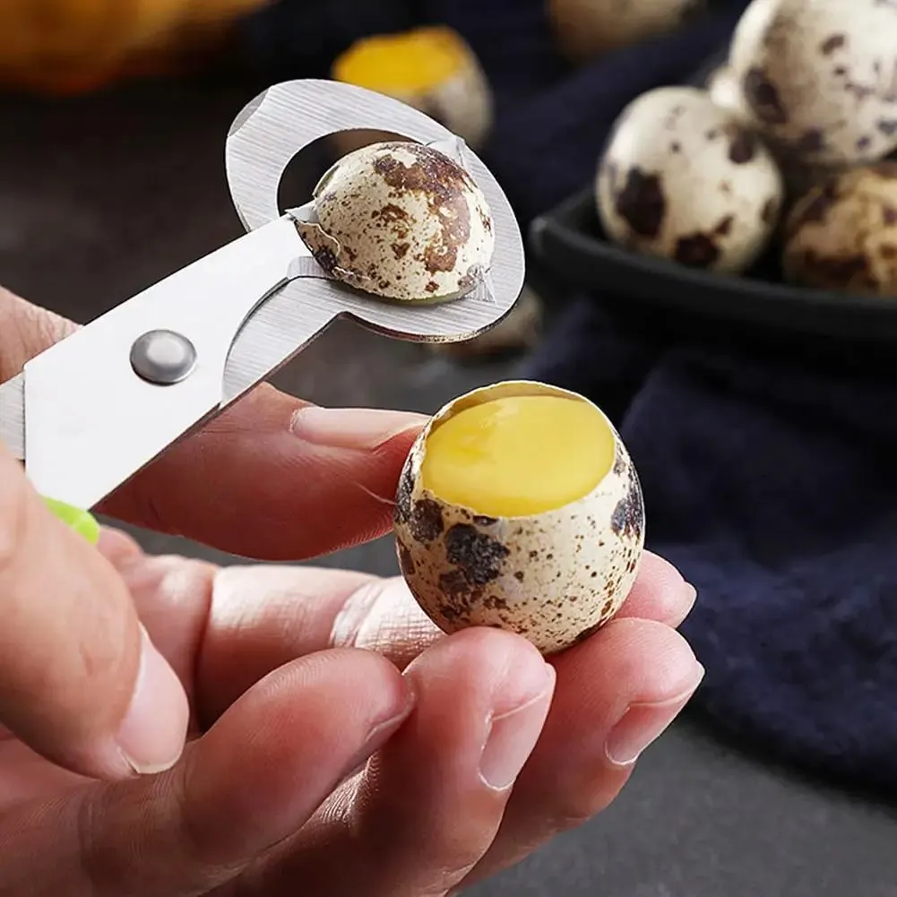 1-20 Buah Gunting Telur Puyuh Baja Tahan Karat Pembuka Pemotong Cangkang Telur-Pisau Baja Berkualitas Tinggi Alat Pengiris Telur Tahan Lama Baru — image 6