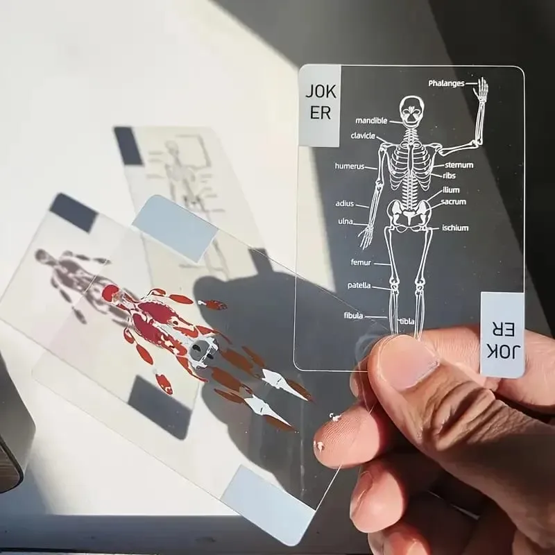 Human Skeleton Knowledge Pokerové karty Průhledné PVC vodotěsné karty Vzdělávací dárky a sběratelské předměty pro studenty medicíny — image 5