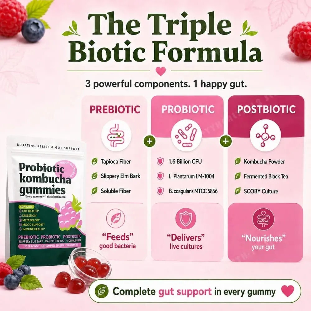 Probiotic Kombucha Gummies Every Gummy 1 Glass Kombucha Prebiotic Postbiotic Digestive Gut Health Vegan Berry Bliss 30 Gummies — image 3