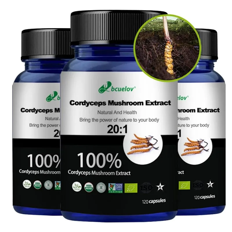 Supplément d'extrait de champignon Cordyceps pur - Améliore l'énergie respiratoire, le système immunitaire et les reins, soutient la santé des capsules végétariennes — image 6
