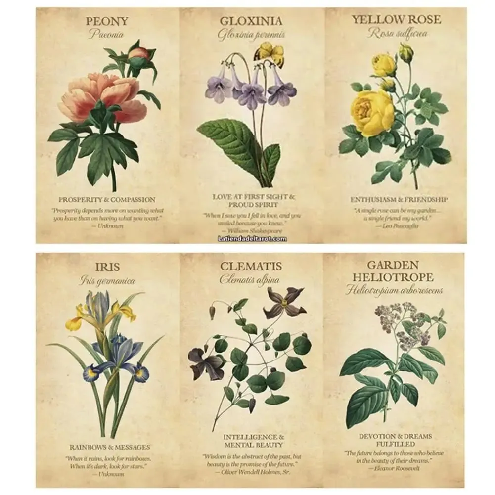 Botanisk Inspiration Oracle-kort A 45 Deck Tarot Engelsk version Brætspil PDF-vejledning til personlig brug — image 3