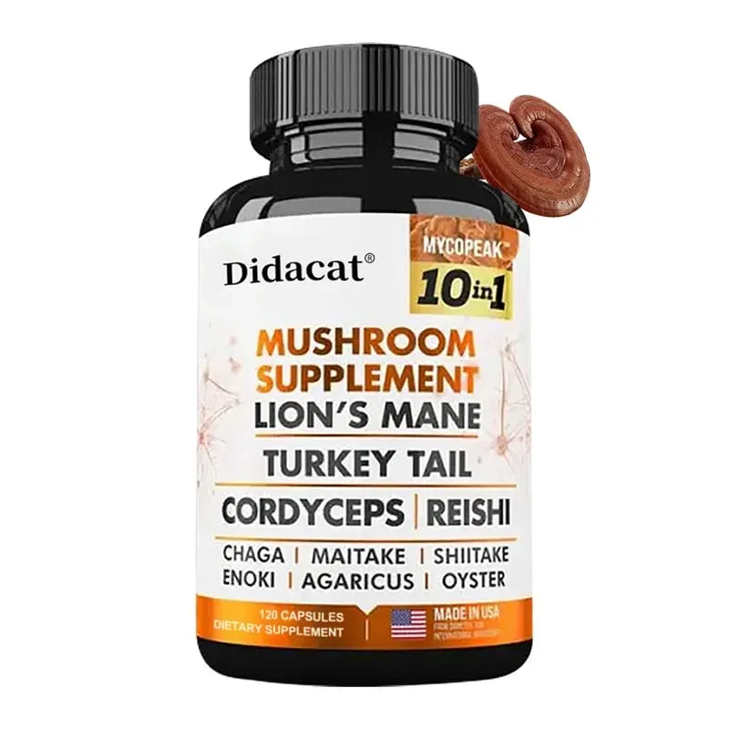 Didacat 10x Pilzkomplex-Kapseln mit Löwenmähnen-Chaga, nootropische Gehirnergänzung für Gedächtnis und Immunität — image 1