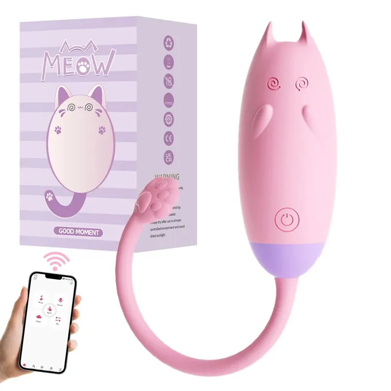 Vibromasseur point G sans fil Bluetooth pour femmes, gode avec application, télécommande, œuf vibrant, clitoris, culotte féminine, jouets sexuels pour adultes