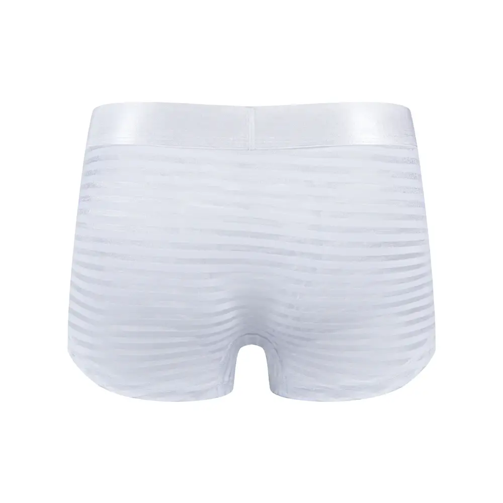 Sexy Men Underwear Boxer Shorts Transparent Mesh Underpants Trunks Men Panties Low Waist Nylon Breathable Quick Drying — image 16