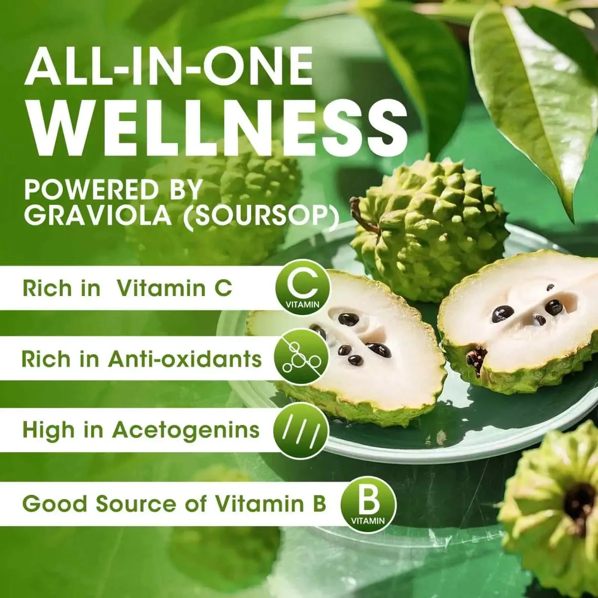Titisan Cecair Graviola Soursop Organik untuk Sokongan Sel Antioksidan Semulajadi & Penjanaan Semula Peningkatan Imun Kaya dengan Multivitamin — image 2