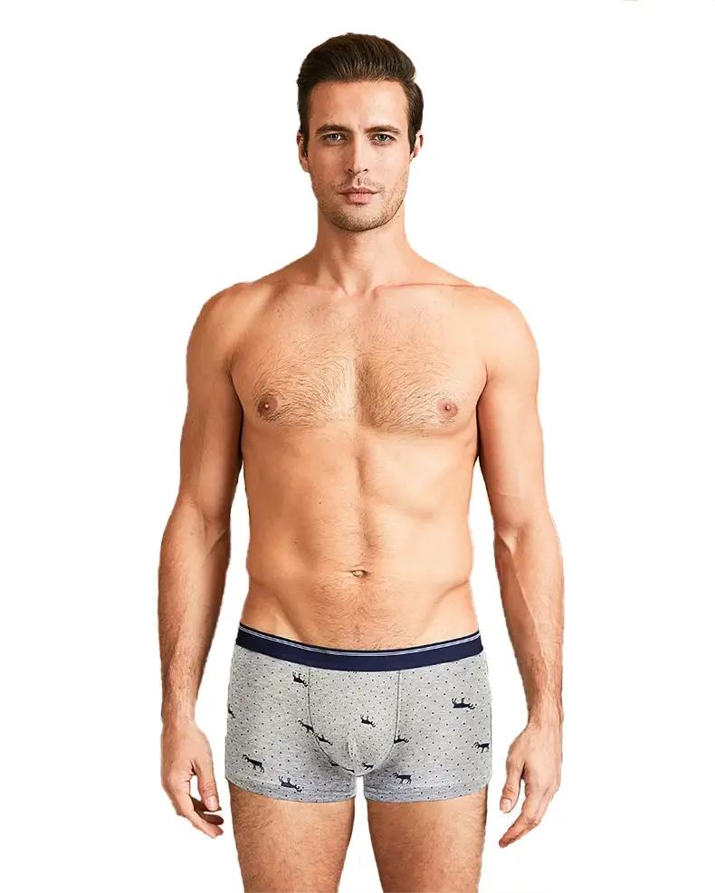 4Pcs/Lot Boxer Shorts Men Underwear Cotton Underpants Comfortable Breathable Male Trunk U Convex Print Panties High Quality — image 1