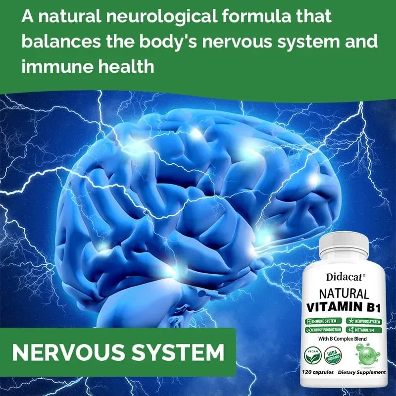 Didacat Vitamin B1 hilft dem Immunsystem, dem Nervensystem und der Energieunterstützung, Nahrungsergänzungsmittel — image 6