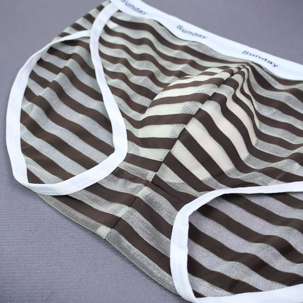 Men Casual Transparent Striped Mesh Briefs Side Fork Panties Shorts Breathable Pouch Man Comfortable Home Underwear — image 5