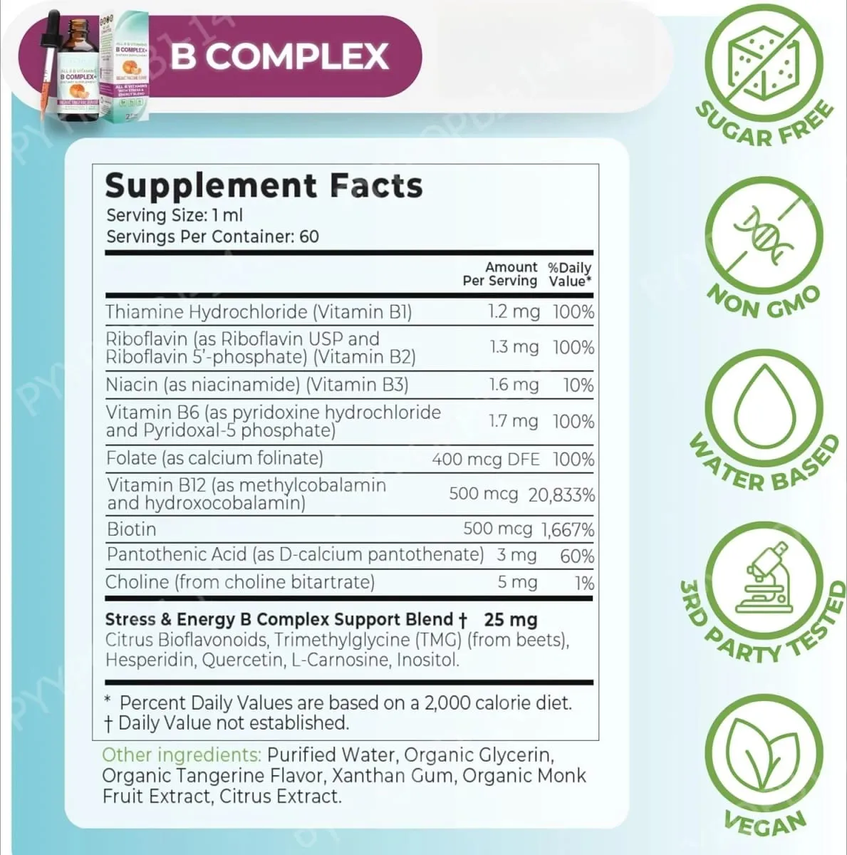 Vitamin-B-Komplex, flüssige Tropfen-Ergänzung, vegan, B1, B2, B3, B5, B6, Biotinfolat und Cholin plus Mischung zur Energieunterstützung, 60 ml